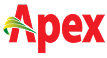 Apex Group